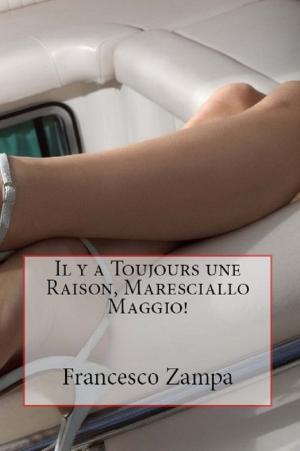 Cover of the book Il y a toujours une raison, Maresciallo Maggio! by Nik Boston
