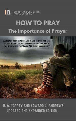 Cover of the book HOW TO PRAY by Terry Jamieson