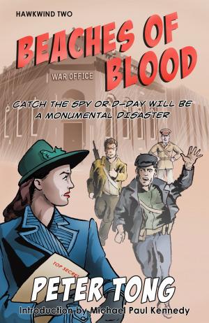 Cover of the book Beaches of Blood by M. A. Adigo