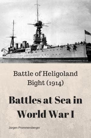bigCover of the book Battles at Sea in World War I by 