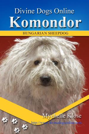 Book cover of Komomdor