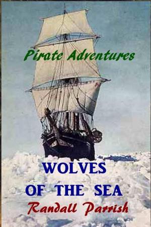bigCover of the book Wolves of the Sea by 