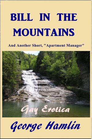 Cover of the book Bill in the Mountains by L. P. Gratacap