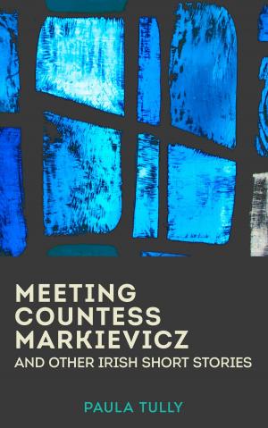 Cover of the book Meeting Countess Markievicz and Other Irish Short Stories by Isabelle de Charrière