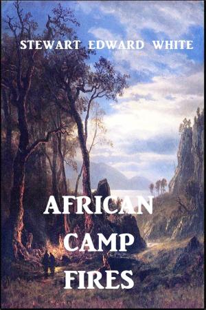 Cover of the book African Camp Fires by Harry Castlemon