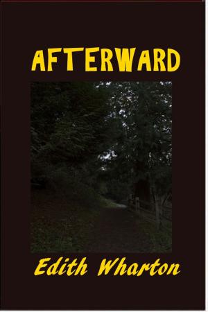 Cover of the book Afterward by Sarah S. Baker