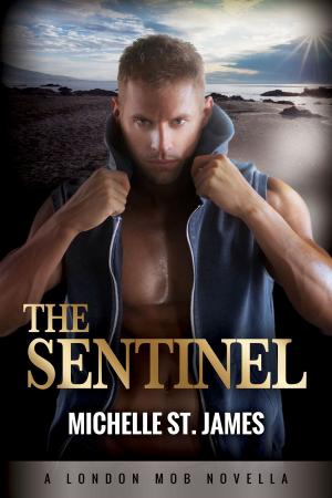 Cover of the book The Sentinel by Michelle St. James