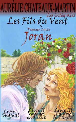Cover of the book Les Fils du Vent - Premier Cycle : Joran by GoMadKids, Patricia Sumner