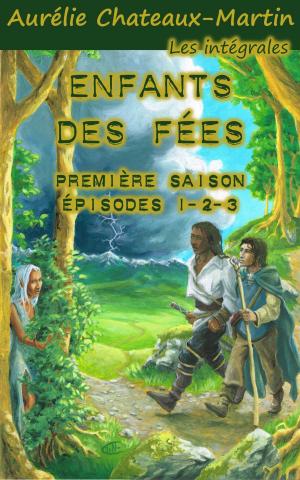 Cover of the book Enfants des Fées - Première Saison by C. Borden