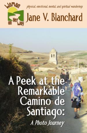 Book cover of A Peek at the Remarkable Camino de Santiago