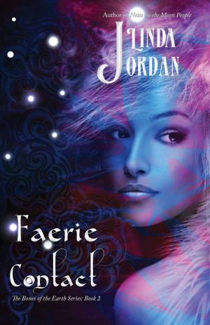 bigCover of the book Faerie Contact by 