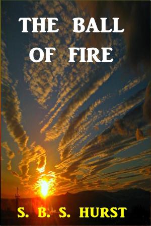 Cover of the book The Ball of Fire by Daniel Avery Langworthy