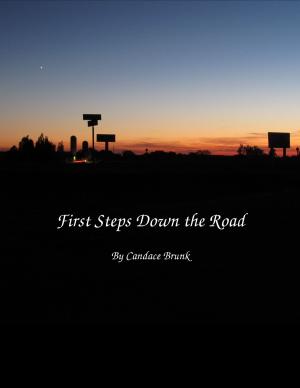 Cover of the book First Steps Down the Road by Carlos Vargas Vidal Sr