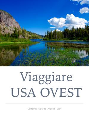 Book cover of Viaggiare USA OVEST