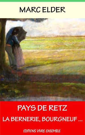 Cover of the book Pays de Retz by Tara Richardson