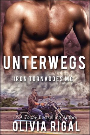 Book cover of Unterwegs Iron Tornadoes