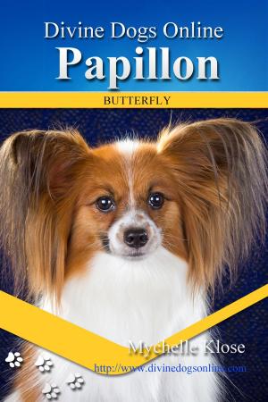 Cover of the book Papillon by Lyn Ragan