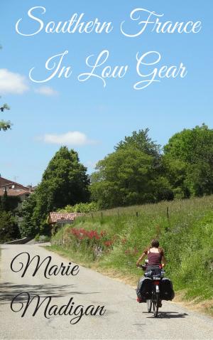 Book cover of Southern France In Low Gear