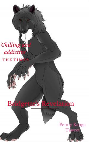 Cover of the book Bridgette's Revelation by Sue Whitaker