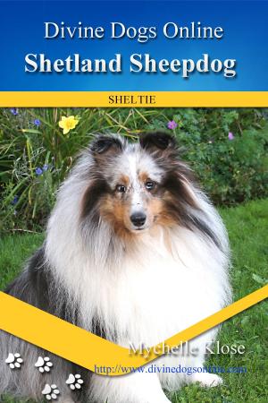 bigCover of the book Shetland Sheepdog by 
