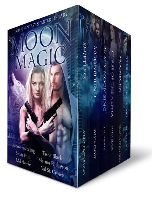 Cover of the book Moon Magic by Laurie Roma