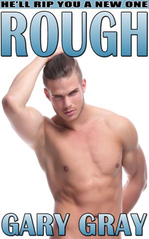 Cover of the book Rough by Anne Hope