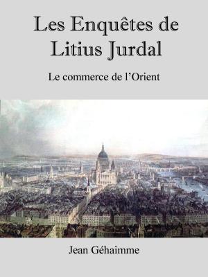 Cover of the book Les enquêtes de Litius Jurdal by Christine Rains