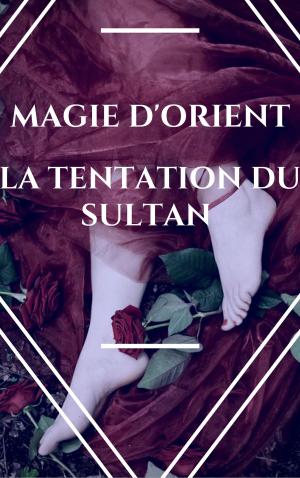 Book cover of La tentation du sultan