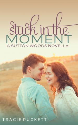 Cover of the book Stuck in the Moment by Tracie Puckett