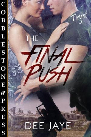 Cover of the book The Final Push by Jamieson Wolf