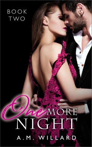 Cover of the book One More Night by A.M. Willard
