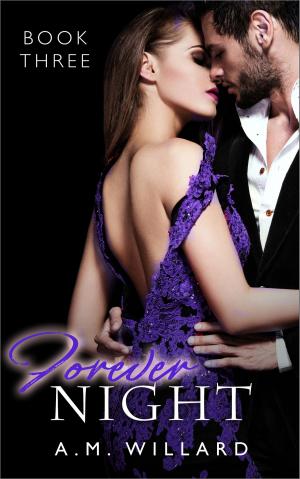 Book cover of Forever Night