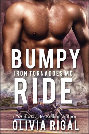 Book cover of Bumpy Ride