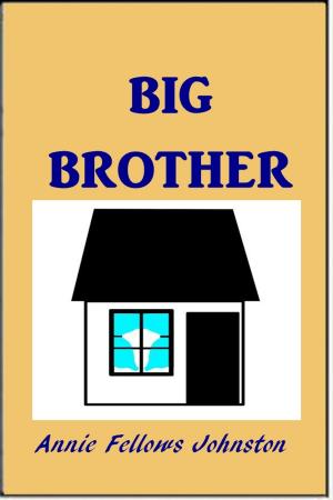 Cover of the book Big Brother by Luis Philip Senarens