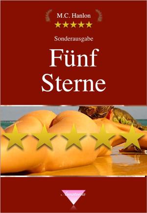 Book cover of Fünf Sterne