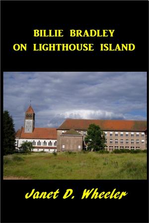 bigCover of the book Billie Bradley on Lighthouse Island by 