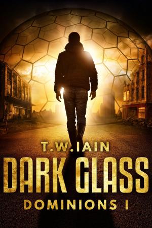 Cover of the book Dark Glass by Jerry McKinney