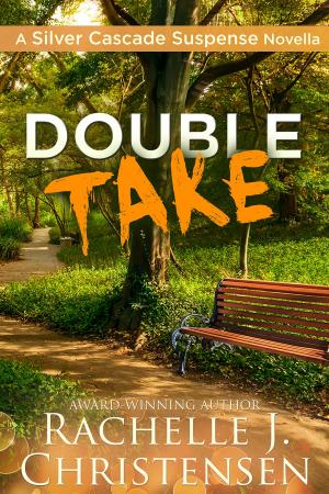 Cover of the book Double Take by Justin Bienvenue