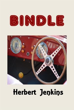 Cover of the book Bindle by Henry Kitchell Webster
