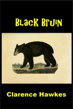 Cover of the book Black Bruin by T. J. de Boer