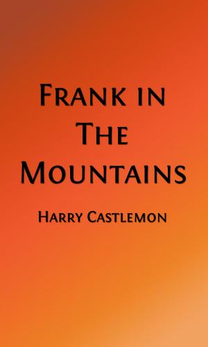 Cover of Frank in the Mountains (Illustrated Edition)
