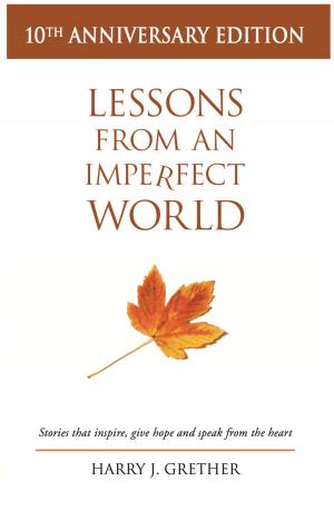 Cover of the book Lessons from an Imperfect World by Michael Carr