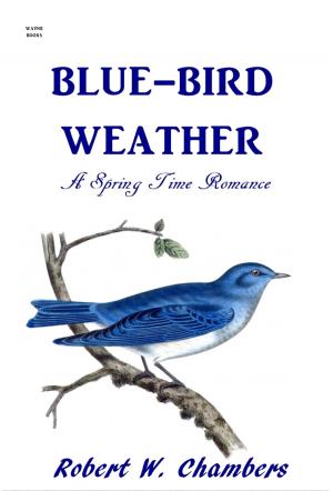 Book cover of Blue-Bird Weather