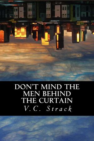 Cover of the book Don't Mind the Men Behind the Curtain by Lance Erlick