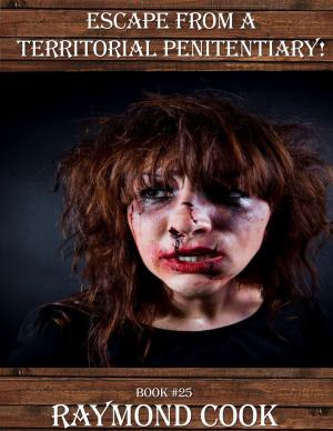 Book cover of Escape From A Territorial Penitentiary!
