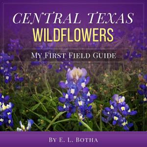 Cover of the book Central Texas Wildflowers by Nathalie Massé