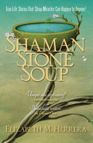 Cover of the book Shaman Stone Soup by Judy Tatelbaum