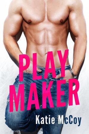 Cover of the book Playmaker by Nikki Palmer