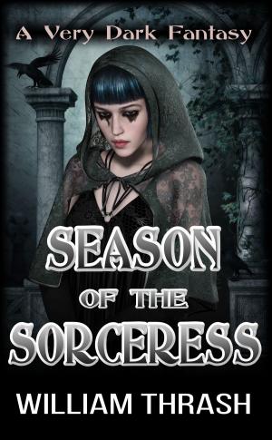 bigCover of the book Season of the Sorceress by 