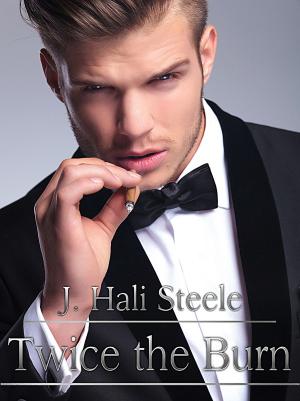 Cover of the book Twice the Burn by J. Hali Steele